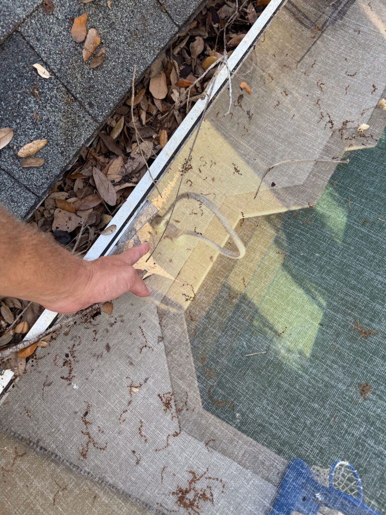clogged gutters naples florida