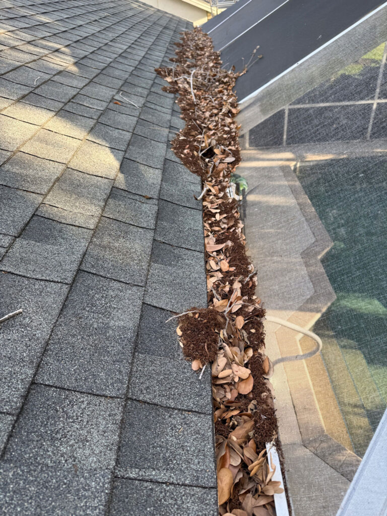 clogged gutters naples florida
